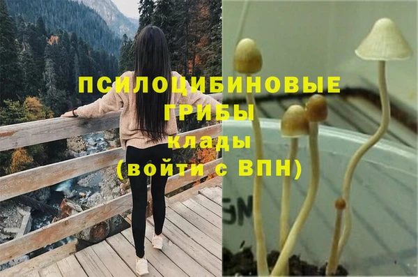 бутират Богданович