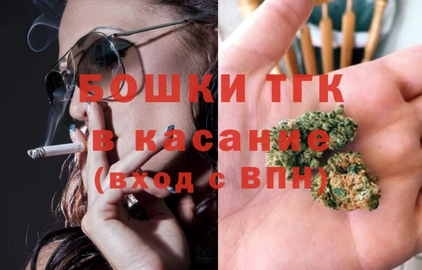 mix Богородицк