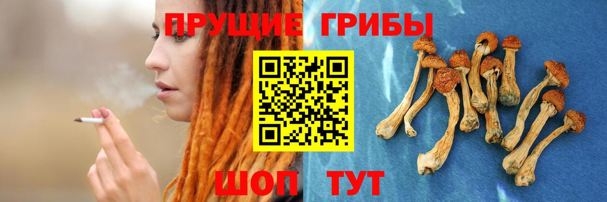 Галлюциногенные грибы MAGIC MUSHROOMS  Псилоцибиновые грибы Magic Shrooms  Минеральные Воды  Вход с VPN 